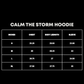 Jesus Calms The Storm Hoodie