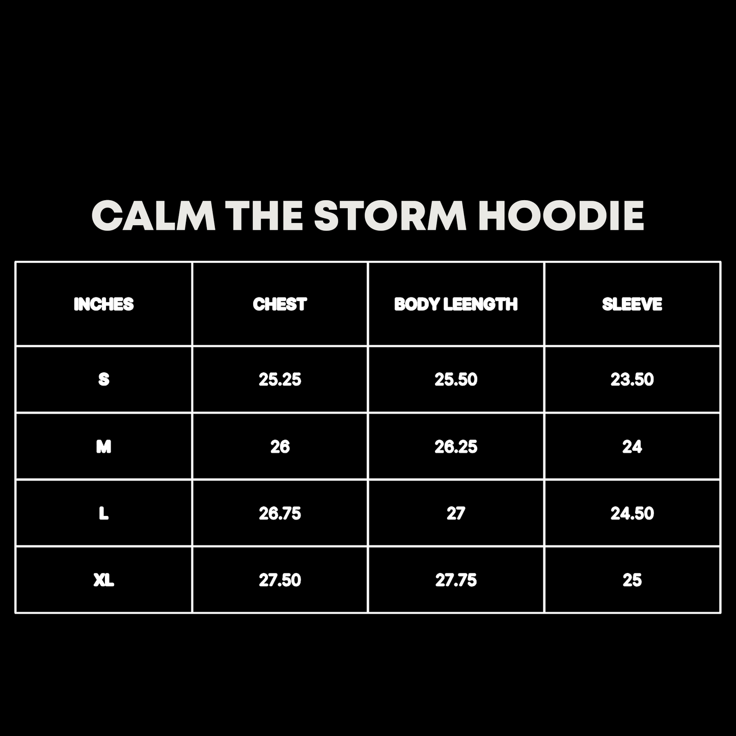 Jesus Calms The Storm Hoodie